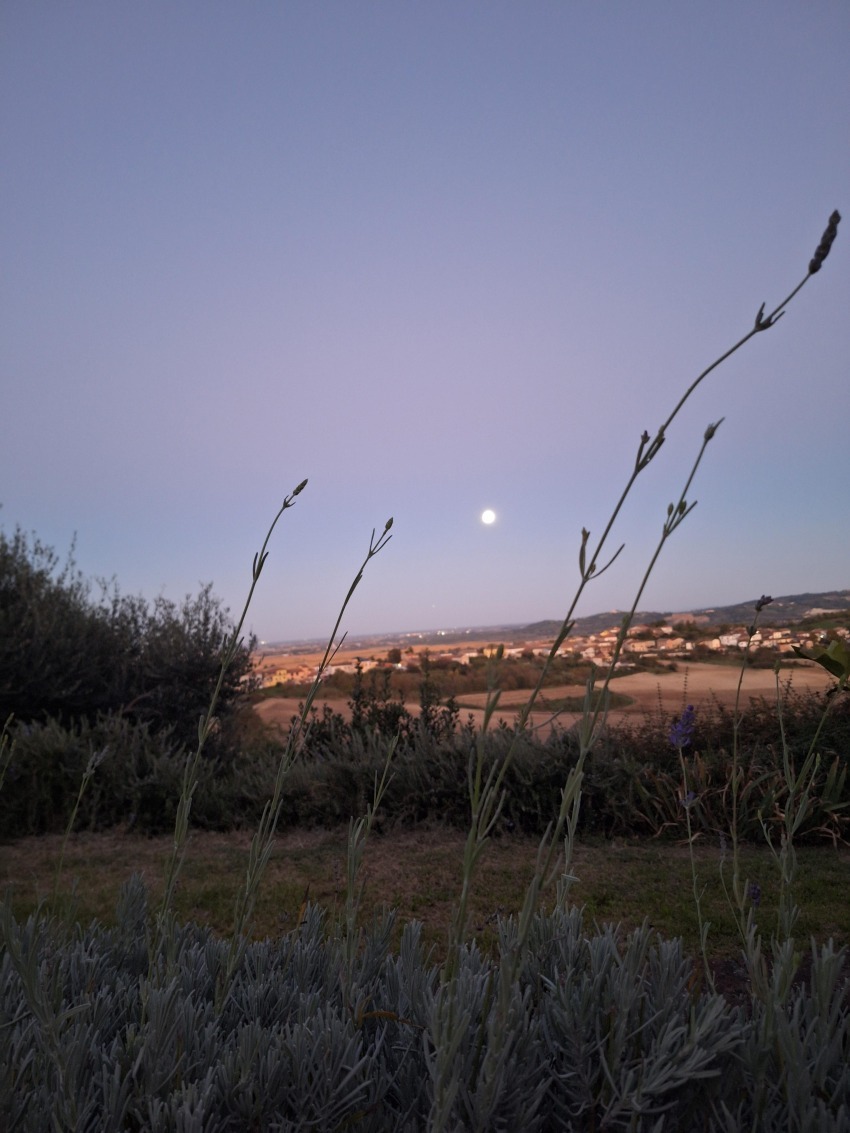 Al profumo di lavanda - Stefania Tromba