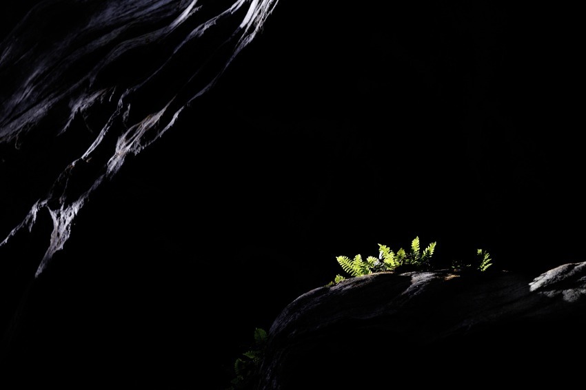 SPOT - Davide Casazza