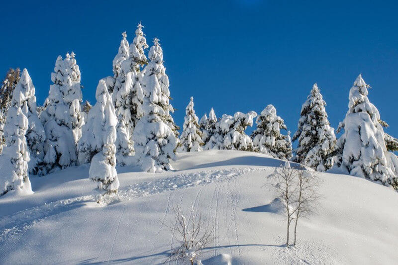 La magia della neve - Maddalena Ferro