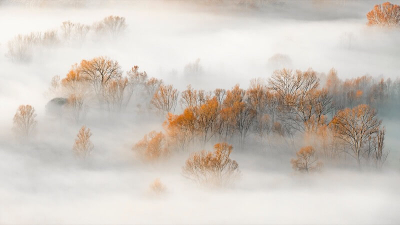 Sfumature d'autunno - Massimiliano manuel Paolino