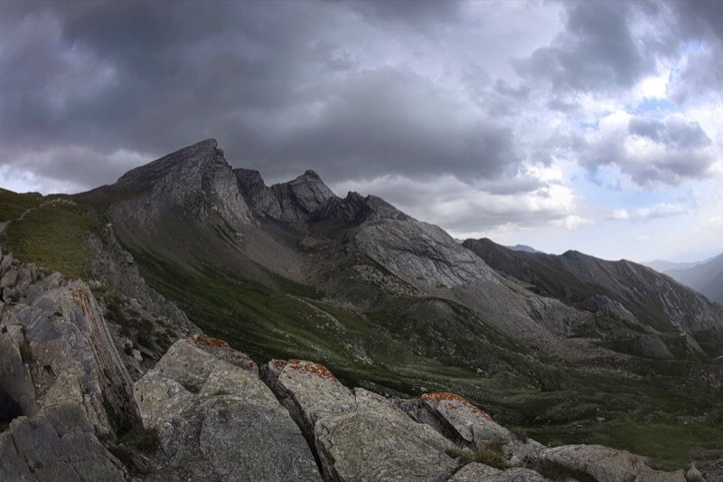 IL COLLE DEL AGNELLO - Giuliana Mosca