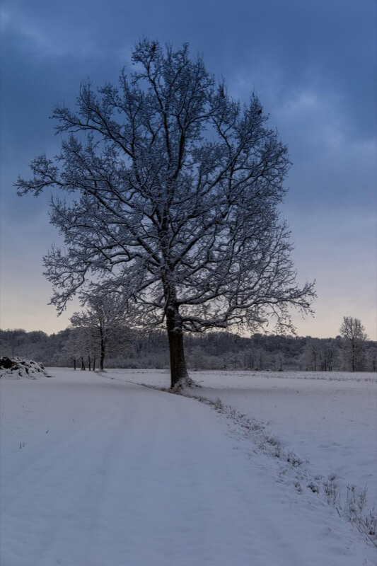 STRADE INVERNALI - Giuliana Mosca