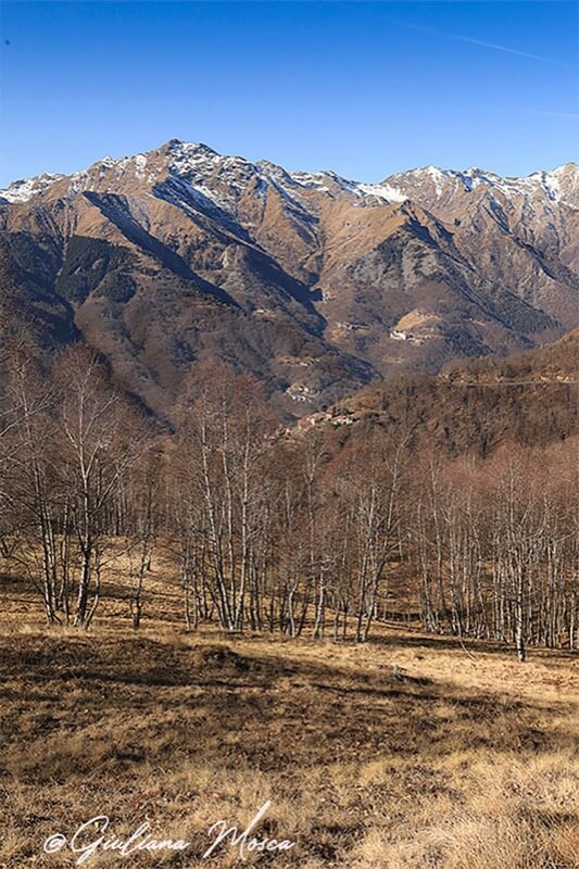 ARSURA INVERNALE - Giuliana Mosca