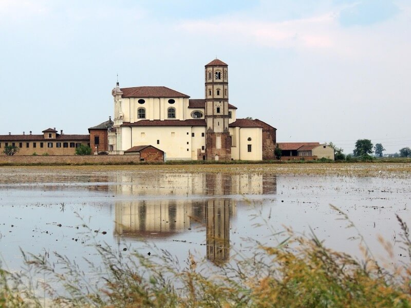 Prima che spunti il riso - Marzio Innocente