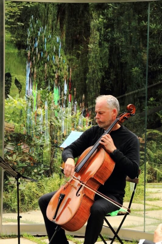 Riflessi al concerto - Fabio giovanni costantino Fontana