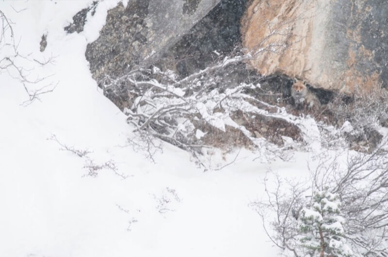 In the middle of the blizzard - Federico Crovetto
