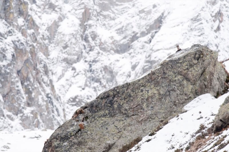 From that top - Federico Crovetto