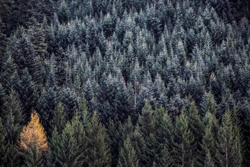 Frammenti d'autunno - Mattia Sarini