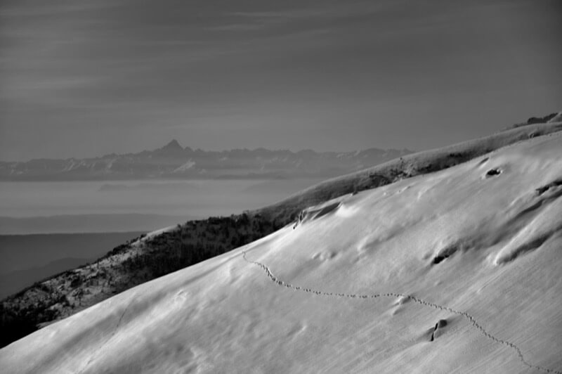 Passi verso il Monviso - Luigi Sacco