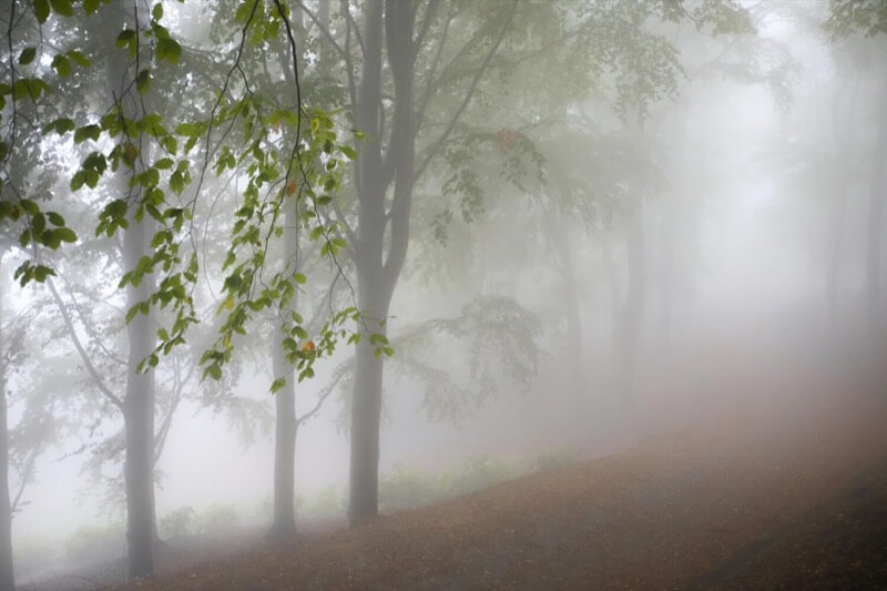 nebbia in passeggiata - Davide Casazza