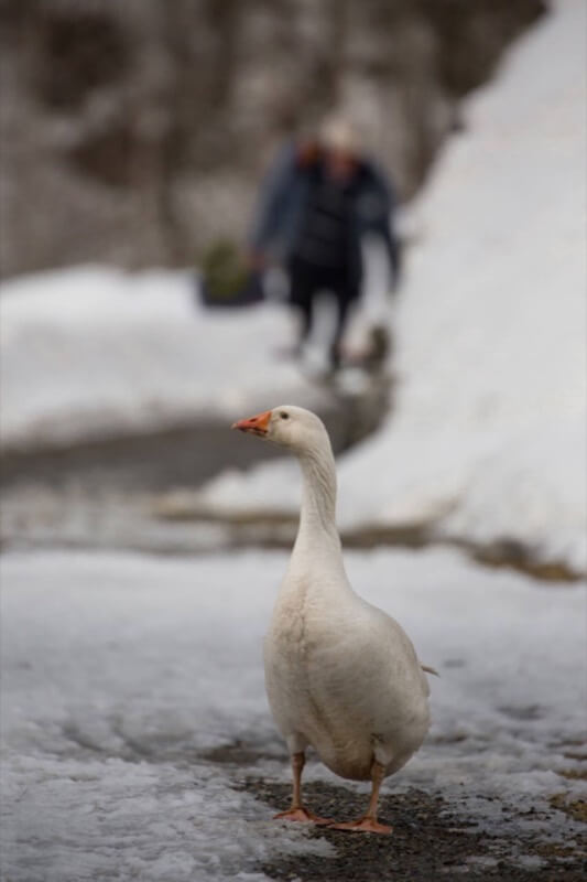 inverno - Davide Casazza